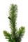 Perfect Holiday 6ft Pre-lit Tapered Salem Pine Artificial Christmas Tree